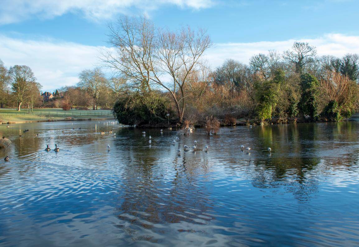 Abington Park in Northampton
