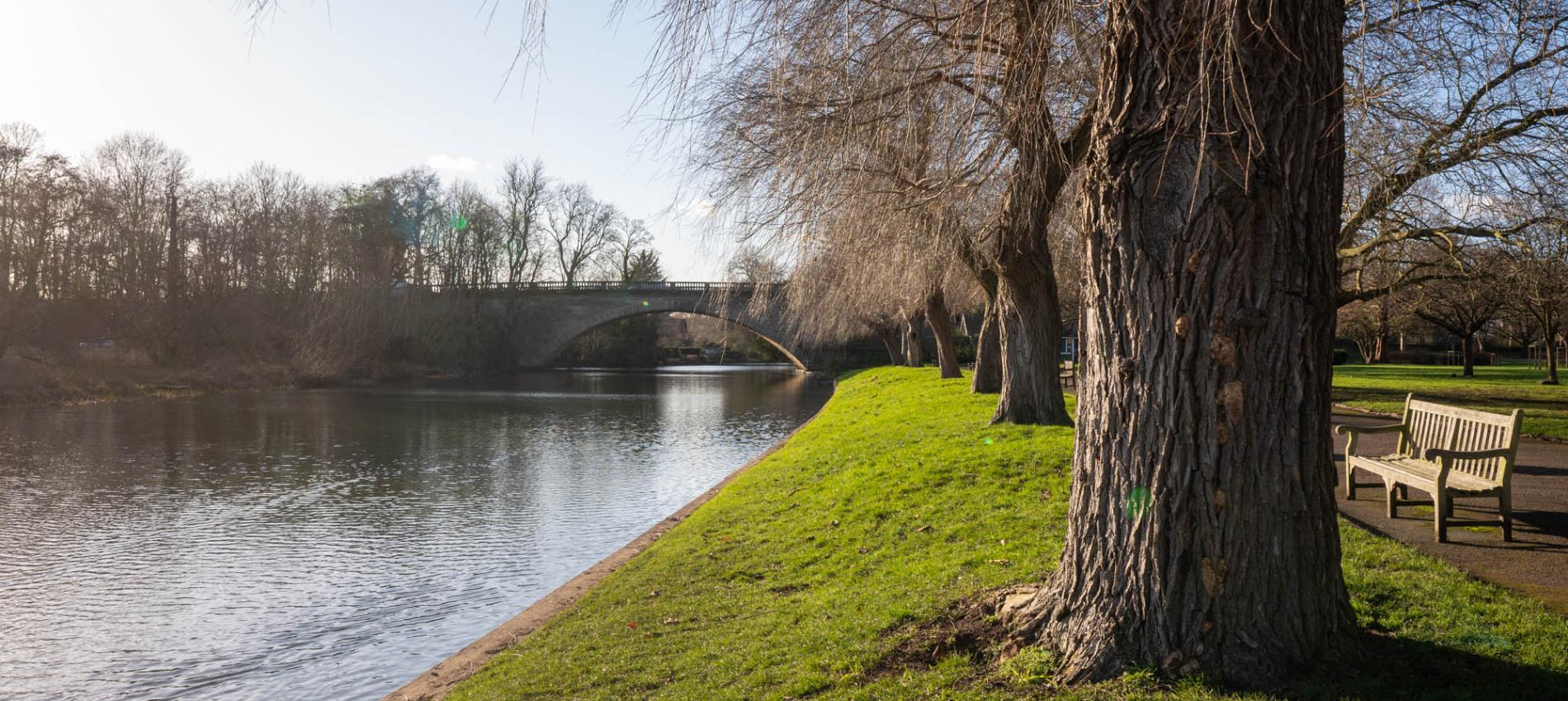 Warwickshire River Bank