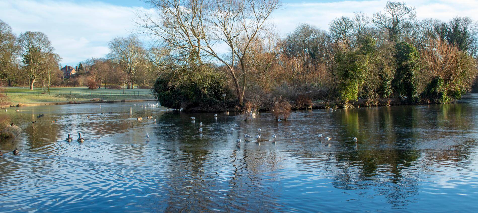 Abington Park in Northampton