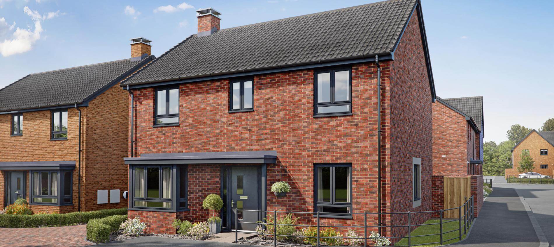 Iris - Plot 60-min.jpg