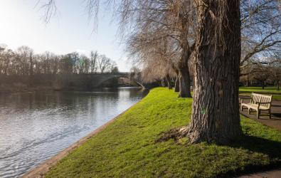Warwickshire River Bank
