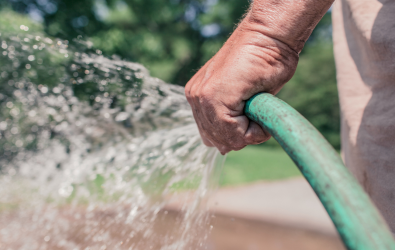 Unidentifiable person carrying watering hose