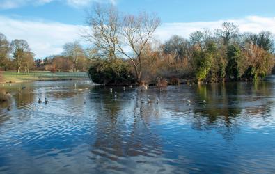 Abington Park in Northampton