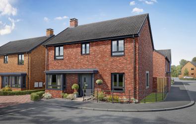 Iris - Plot 60-min.jpg