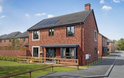 Type The Primrose - Plot 6-min.jpg