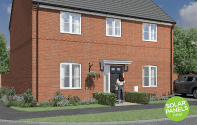 The Ribble - The Sycamores