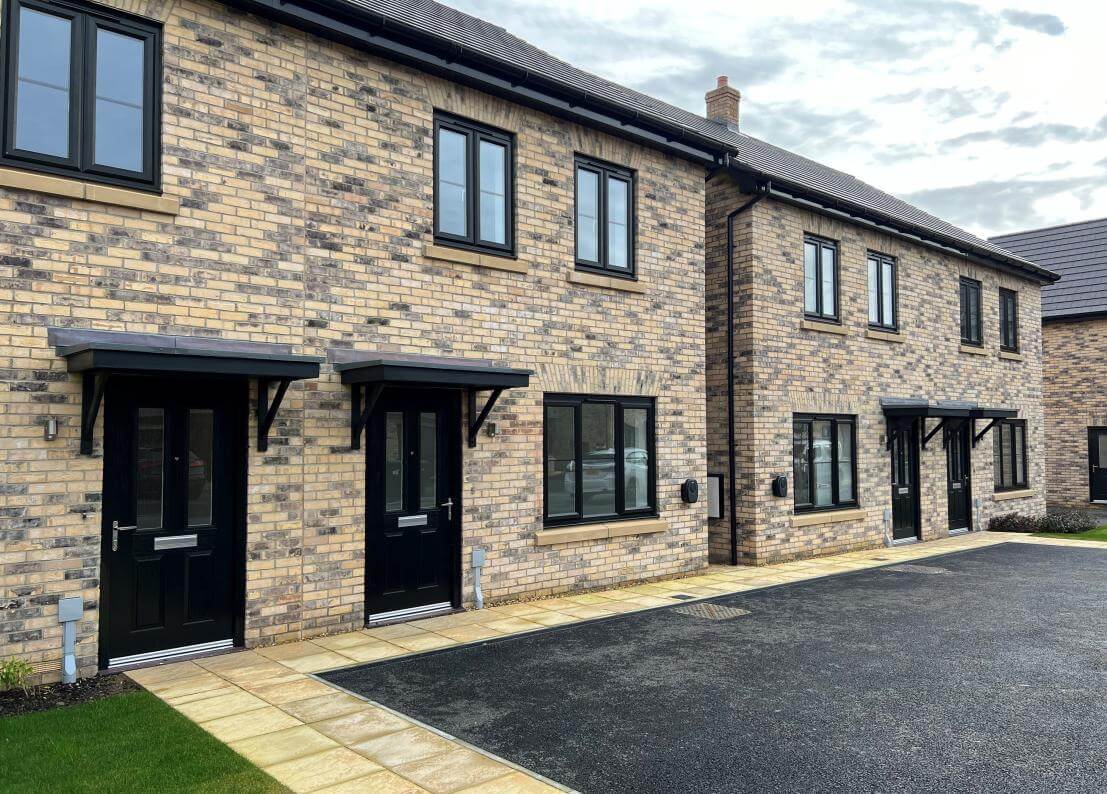 The Holly at Cotterstock Meadows