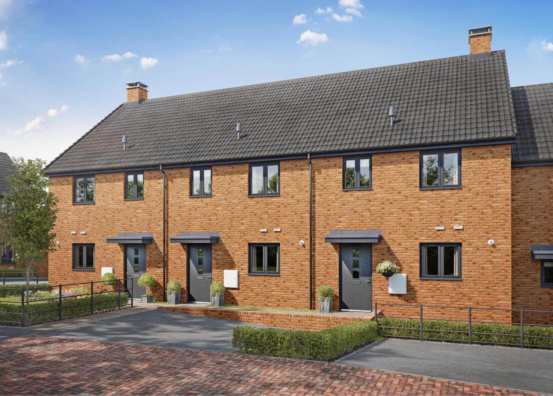 The foxglove solar panel