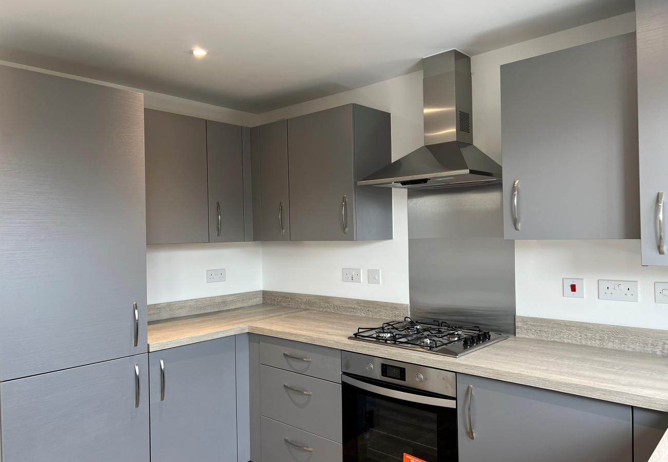 Modern Kitchen in The Holly